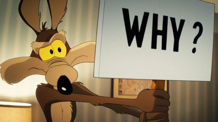 Coyote Vs Acme